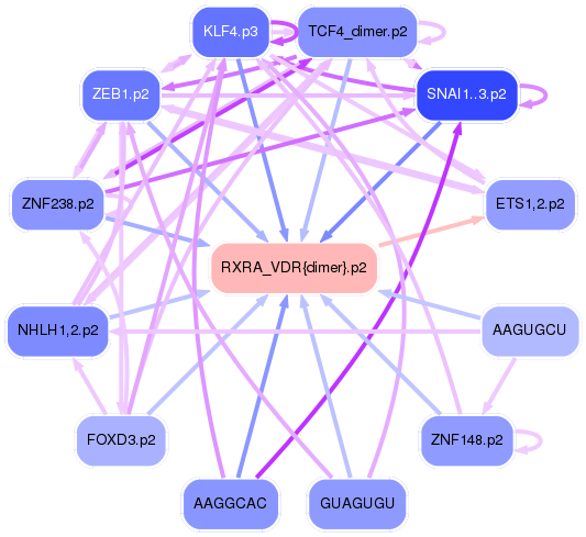 PNG image of the network